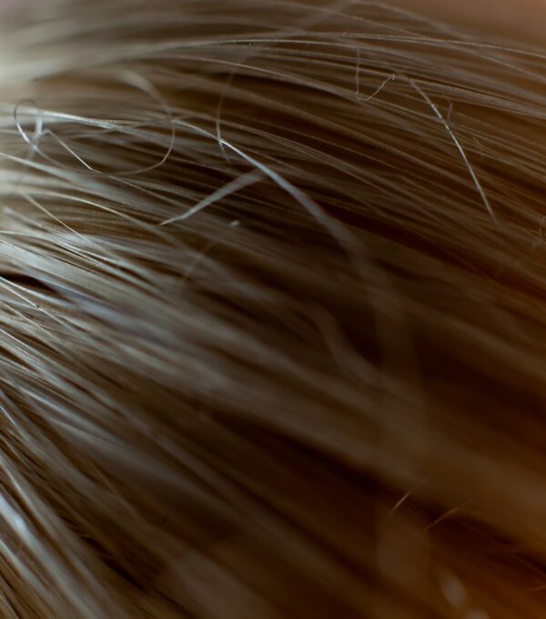 Close-up of healthy hair strands representing the post-transplant recovery progression at Validus Hair